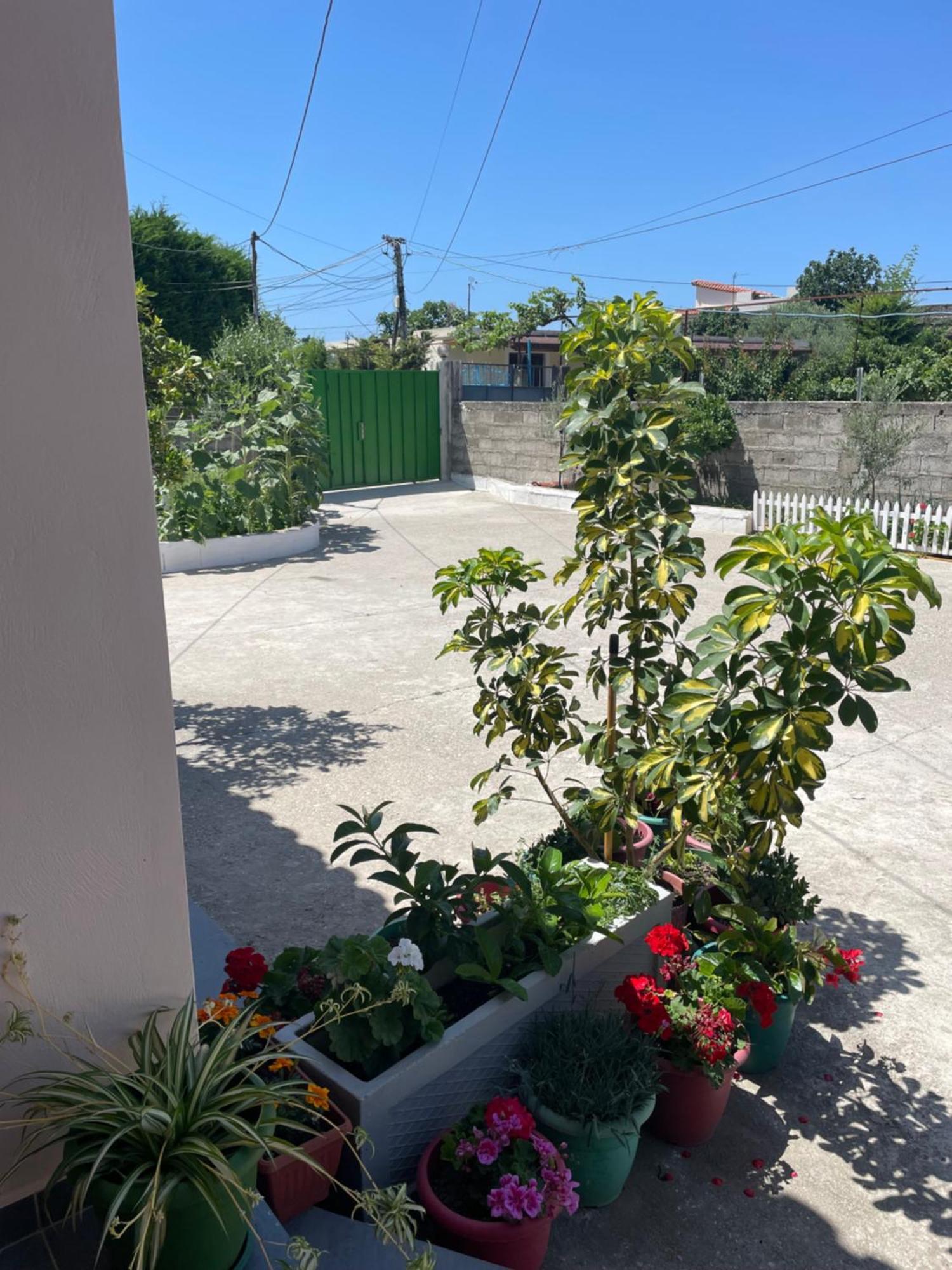 Rental Houses Dukaj Vlorë Εξωτερικό φωτογραφία