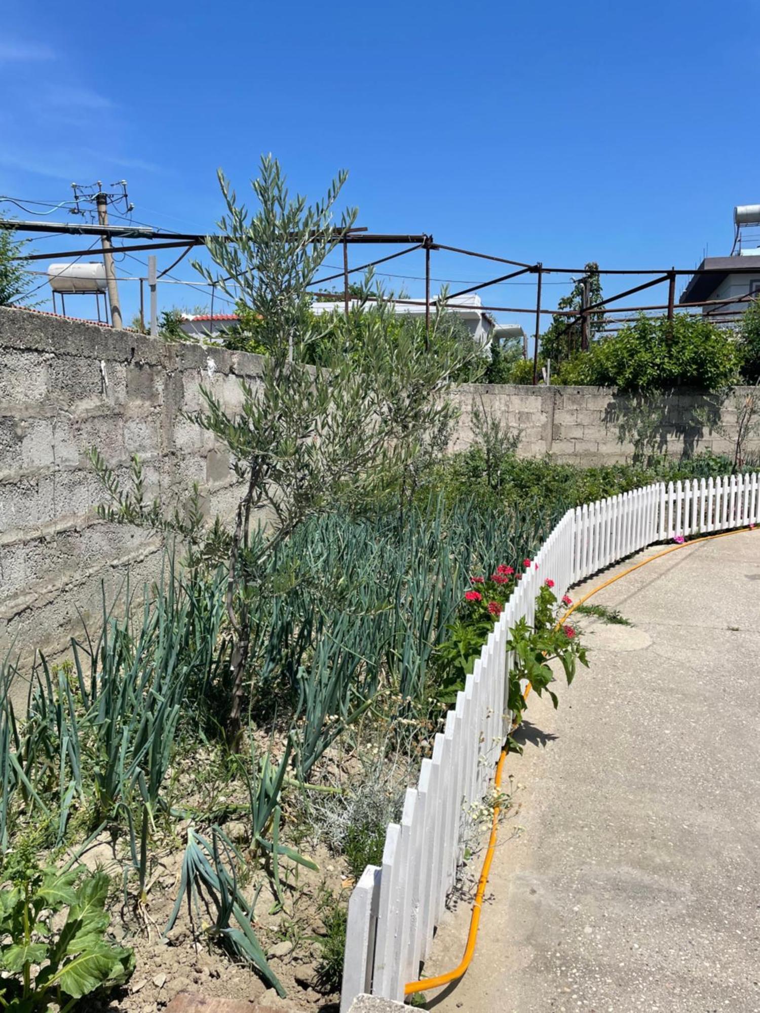 Rental Houses Dukaj Vlorë Εξωτερικό φωτογραφία